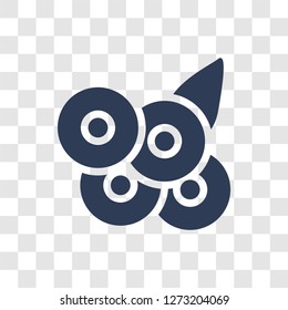 Blueberries icon. Trendy Blueberries logo concept on transparent background from Fruits and vegetables collection