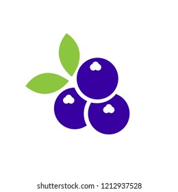 blueberries icon. vector illustration