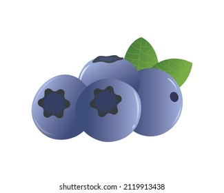 Blueberries illustration in high resolution for many type of use.