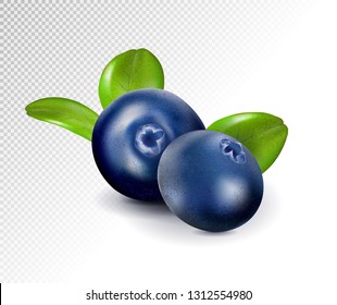 Blueberries isolated on white background. Quality realistic vector, 3d illustration