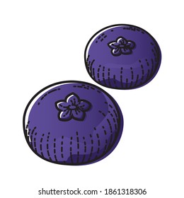 Blueberries isolated on white background. Vector illustration of fruit.