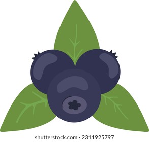 Arándanos aislados de fondo blanco. Ilustración del vector