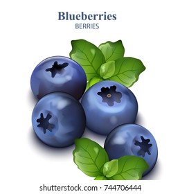 Blueberries isolated on white backgrounds Vector realistic