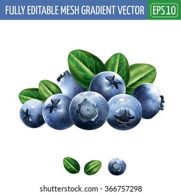 Blueberries With Leaves