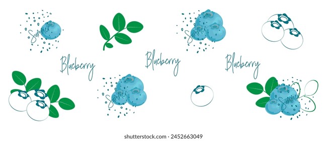 Blueberries, leaves and berries. Set of elements for the design. Creating patterns