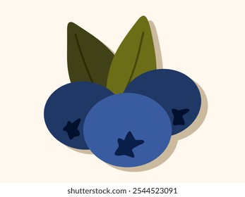 Mirtilos com folhas em close. Frutas, bagas, comida saudável, nutrição adequada. Ilustração vetorial