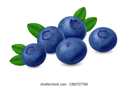 Blueberries with leaves isolated on white background. Realistic Vector illustration