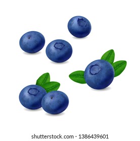 Blueberries with leaves isolated on white background. Realistic Vector berries set