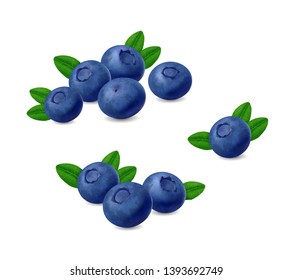 Blueberries With Leaves Isolated On White Background. Realistic Vector Berries Set