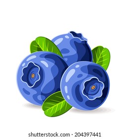 Blueberries and leaves isolated on white 2. Vector illustration. Composition of the three berries.