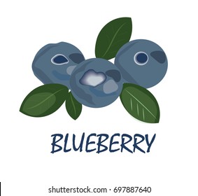 Blueberries and leaves isolated on white background