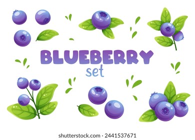 Blueberries with leaves in various angles on white background. Set of botanical vector icons of berries, food, sweets
