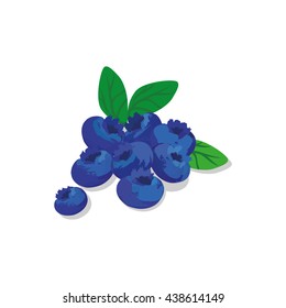 Blueberries with leaves. Vector illustration.