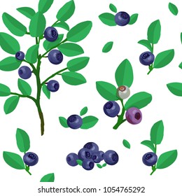 Blueberries and leaves vector set. Colorful illustration, isolated elements.