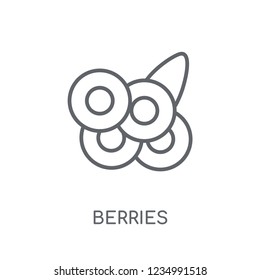 Blueberries linear icon. Modern outline Blueberries logo concept on white background from Fruits and vegetables collection. Suitable for use on web apps, mobile apps and print media.