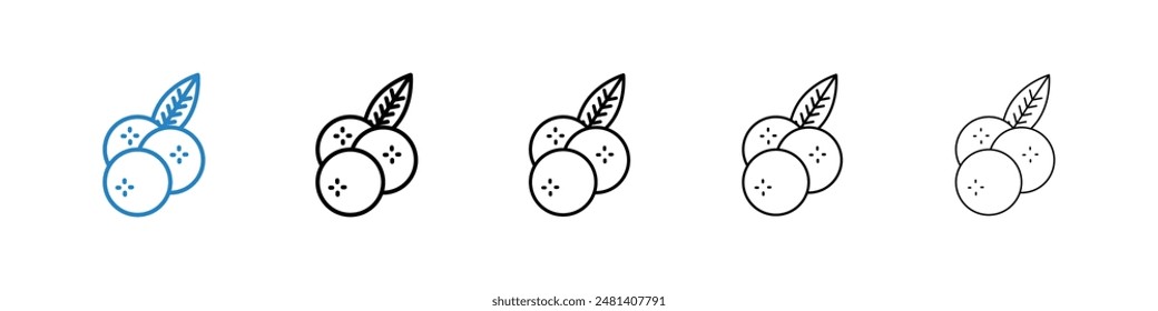 Conjunto de Vector de icono de línea de arándanos.