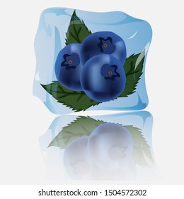 Blueberries with mint in ice. Fruit cocktail. Vector art