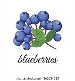 Blueberries on a branch