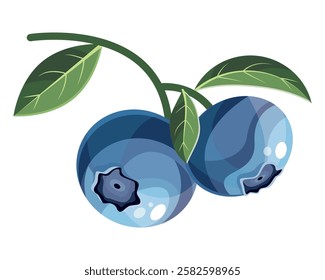 Blueberries on a branch in cartoon style on a white background. Vector illustration. Blueberry Icon fruits vector illustration. Berry design. Fresh, ripe closeup berries composition with green leaves.