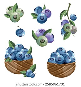 Blueberries on a branch in cartoon style set on a white background. Vector illustration. Blueberry Icon fruits vector illustration. Fresh, ripe closeup berries composition with green leaves. Basket.