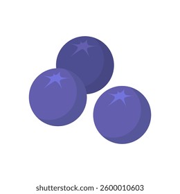 Blueberries on an isolated background. 
Vector illustration in a flat style

