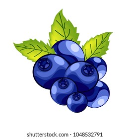 
Blueberries on a white background.