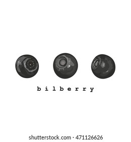 blueberries on a white background