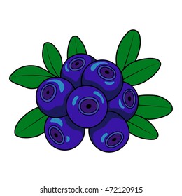 Blueberries on a white background