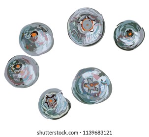 Blueberries on a white background. Summer Harvest