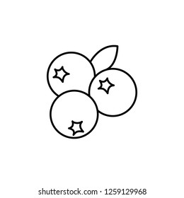 blueberries outline icon. Element of fruits icon. Thin line icon for website design and development, app development. Premium icon
