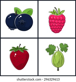 Blueberries, Raspberries, Strawberry,Gooseberry , Isolated on White Background ,Set of Fruit Icons , Vector Illustration