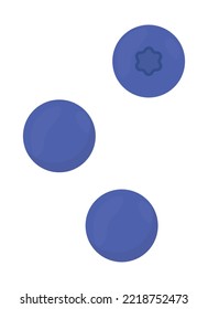 Blueberries semi flat color vector objects set. Fresh food ingredient. Editable elements. Full sized items on white. Simple cartoon style illustrations for web graphic design and animation pack