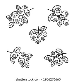 Blueberries set. Collection icon blueberries. Vector