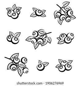 Blueberries set. Collection icon blueberries. Vector