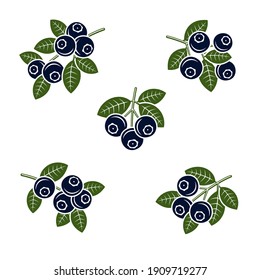 Blueberries set. Collection icon blueberries. Vector