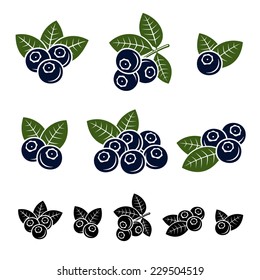 Blueberries set. Vector