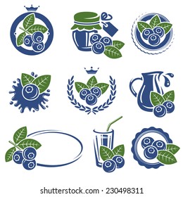 Blueberries set. Vector