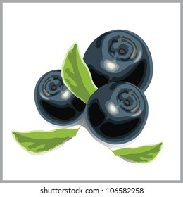 blueberries and three green leaf