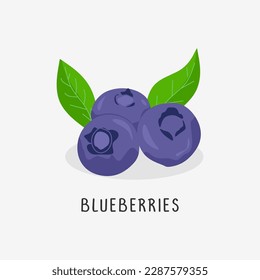 blueberries vector flat illustration, isolated on white background