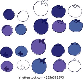  blueberries Vector graphics line set, isolated on transparent background, four colors
