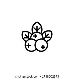 Blueberries vector icon in linear, outline icon isolated on white background