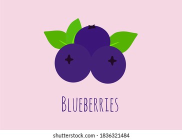 Blueberries vector ilustration with leaves