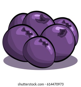 Blueberries vector isolated on white background. Hand drawn cartoon illustration fruit. Eating healthy and vegan food.