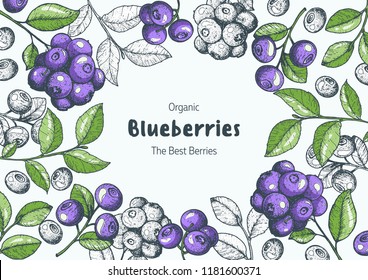 Blueberries. Vintage vector illustration. Hand drawn berries. Vintage style design. Organic food, healthy food.