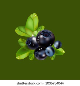 Blueberries with water drops on a green background.