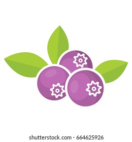 blueberry