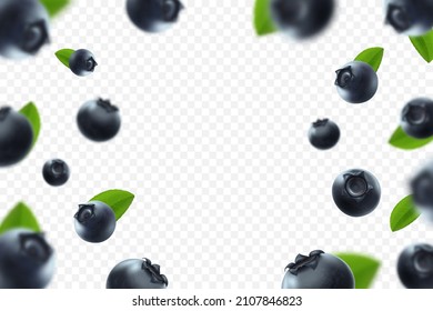 Blueberry background. Fresh berry with green leaves on transparent background. Flying defocusing blueberry berries. 3D realistic fruits. Falling blueberry. Nature product. Vector illustration.