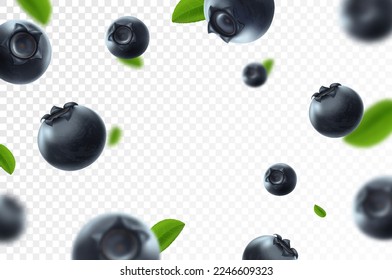 Blueberry background. Fresh berry with green leaves on transparent background. Flying focused and blurry berries. 3D realistic fruits. Falling blueberry. Nature product. Vector illustration.