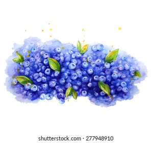 Blueberry background. Watercolor. Hand painted.