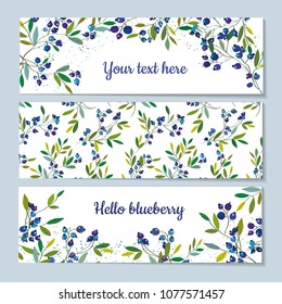 Blueberry banners set with pattern and graphic design, vector illustration